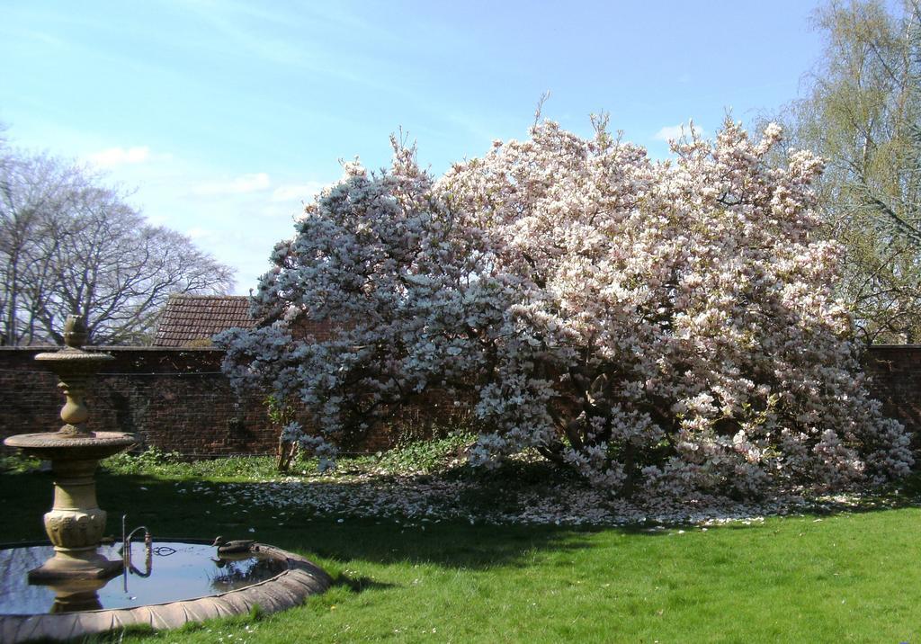 Hilbury Court Hotel Trowbridge Εξωτερικό φωτογραφία